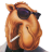 Zak