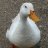 kennyb8703