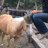 xxbackslash