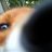 fox_rivers