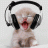 moretunes