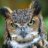 Gr8hornedowl
