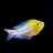 Fishee