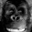 Kong