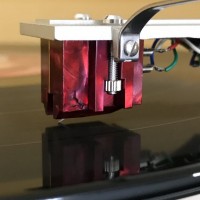 Zebows pics