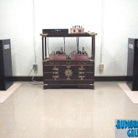 Bottlehead System with Fostex FE-103M