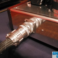 Wardsweb 2A3 Umbilical Cord