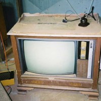 Junkyard Zenith