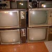 A bunch of early 70s zenith hybrids!