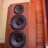 XRT22 bass cabinet