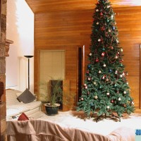 Da' tree