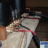 Amp Rear