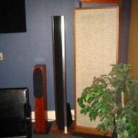 Echo Audio