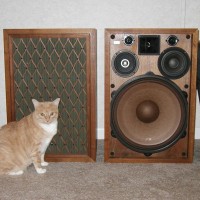 Pioneer CS-99A