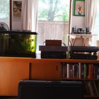 Living room 6_22_17