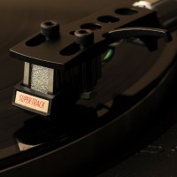 DSC_6500a1