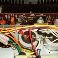 Main Caps Underside Original