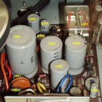 P800 Original Label