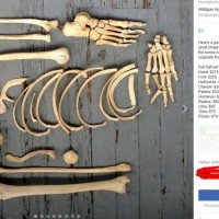 Everything is for sale