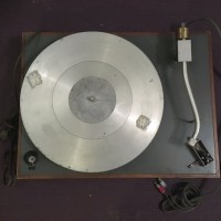 Mouse Nest AR XA