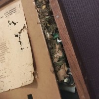 Mouse Nest AR XA