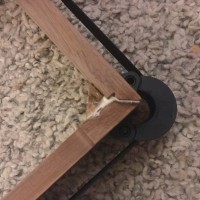Mouse Nest AR XA