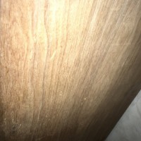 6853C7D6-196E-4BC2-8F85-5CD7B34F3B16