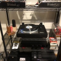 McIntosh_40_Linn