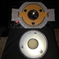 diaphragm
