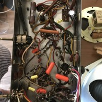 Entire zenith amp