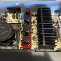 TAN55ES-029