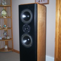 Speakers I built
