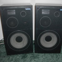 Pioneer CS-G301WAII