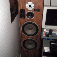 MARTIN SPEAKERS USA Transflex 4050