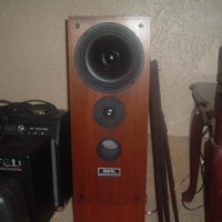MARTIN SPEAKERS USA Transflex 2050