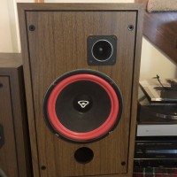 Cerwin Vega D-2E