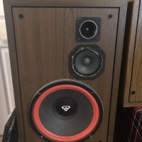 Cerwin Vega D-6E