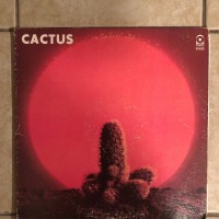 CACTUS PIC 1 (2)