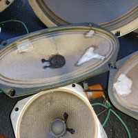 IMG_20211101_155717