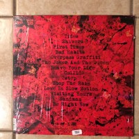 Ed Sheeran New Album Pic 2 (2)