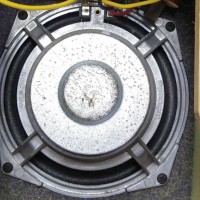 Paradigm Titan woofer
