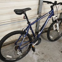 Talus302