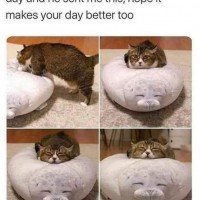 FB_IMG_1649543765806