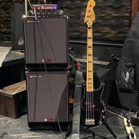 Squier Genzler