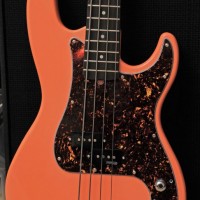 Coral Glarry 2