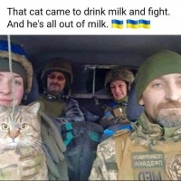 FB_IMG_1665620878876