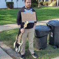 Free Bassist