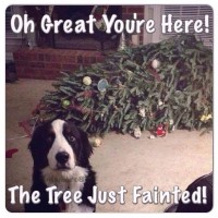 Dog Tree