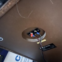 IMG_1813