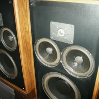 Polk Monitor 10